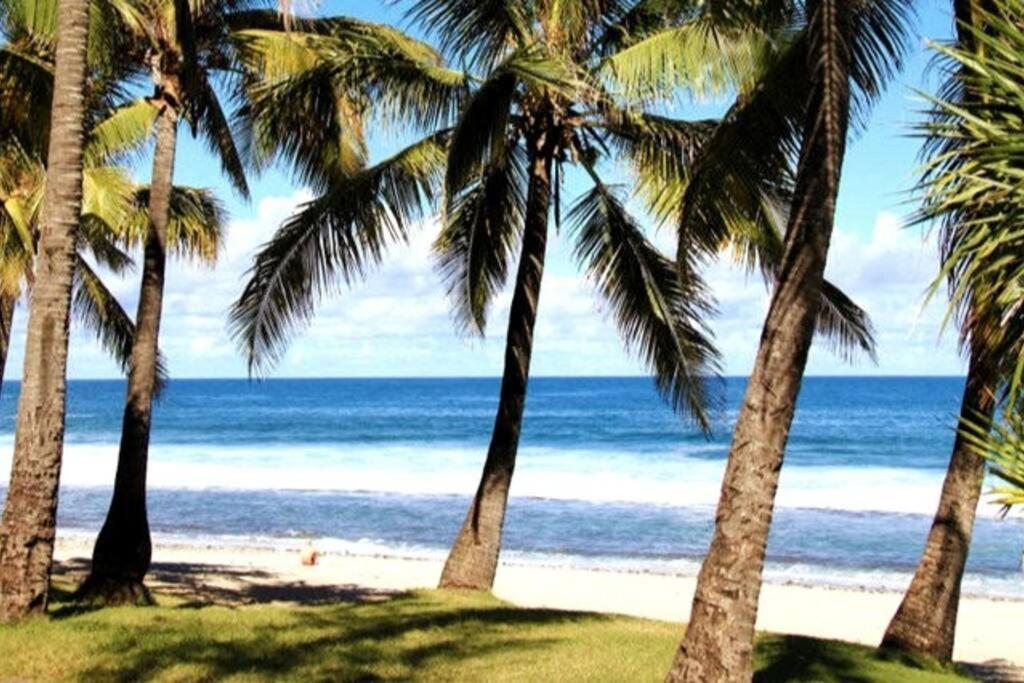 Maison De Vacances, Decouvrir Le Sud De La Reunion Petite Île Exteriör bild