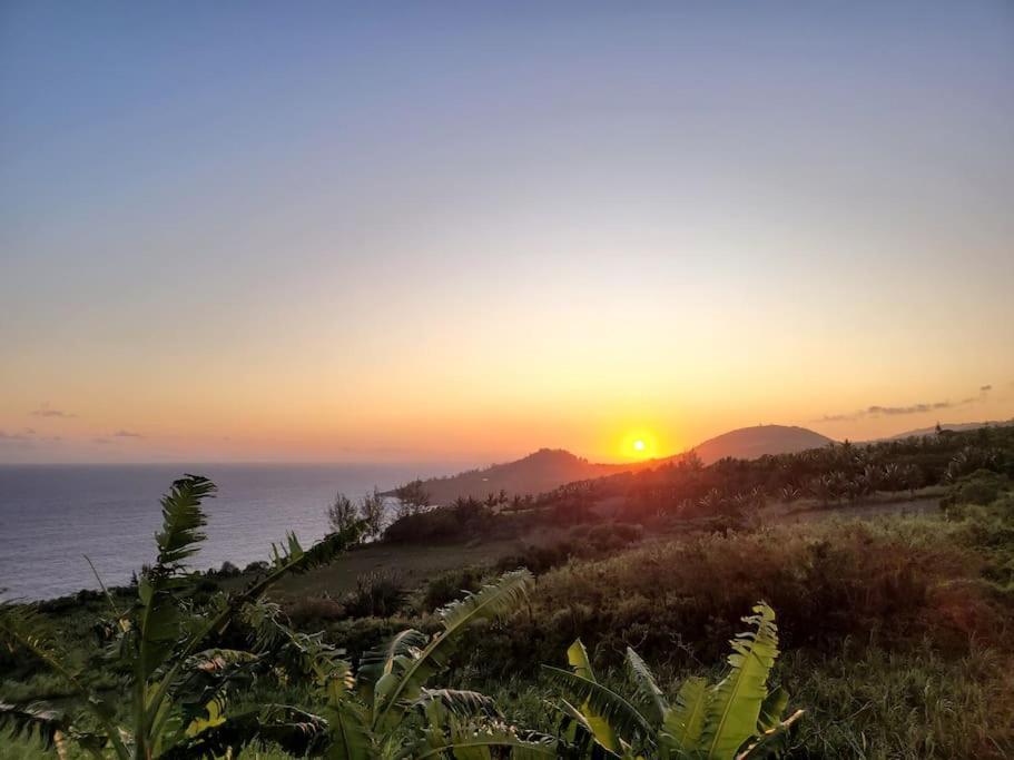 Maison De Vacances, Decouvrir Le Sud De La Reunion Petite Île Exteriör bild
